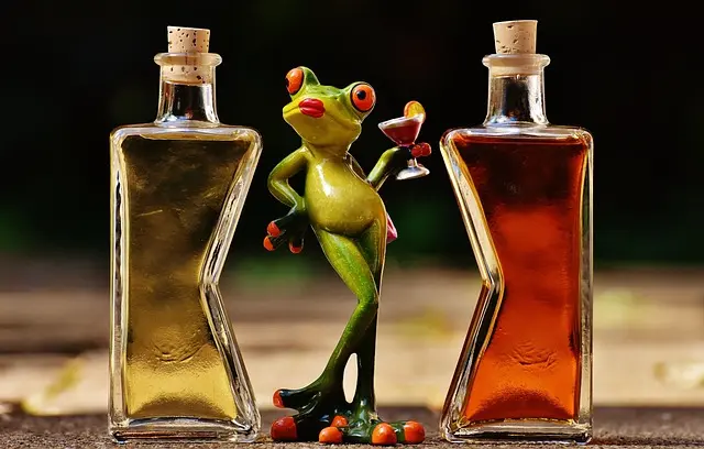 Guide Complet des Cocktails Romantiques à Réaliser