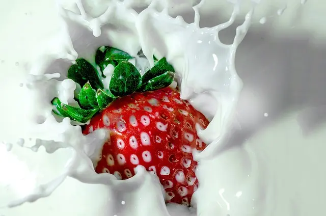 Le Guide Complet des Cocktails à Base de Fruits Frais