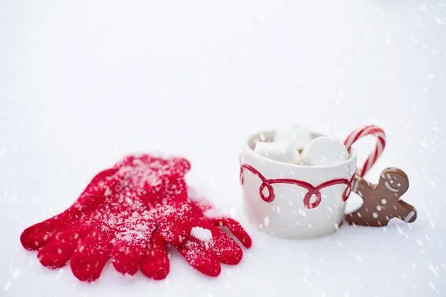 Les Secrets d'un Cocktail d'Hiver Réconfortant