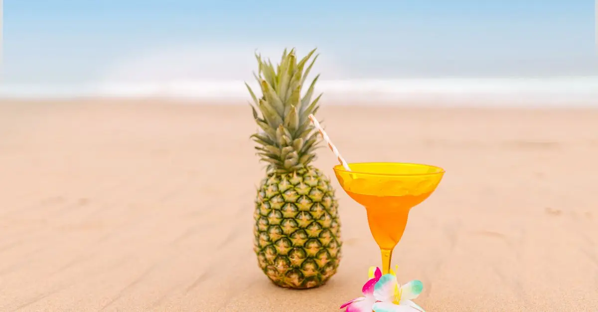 Les meilleurs cocktails à préparer avec des fruits frais
