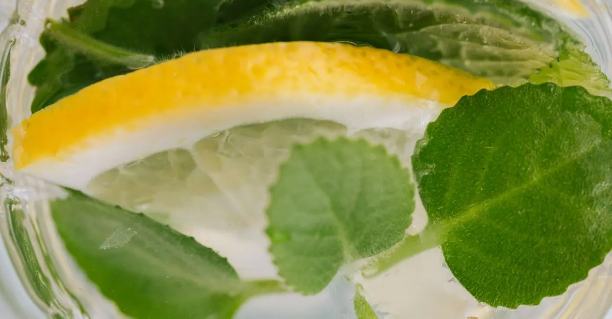Analyser les bienfaits des cocktails infusés