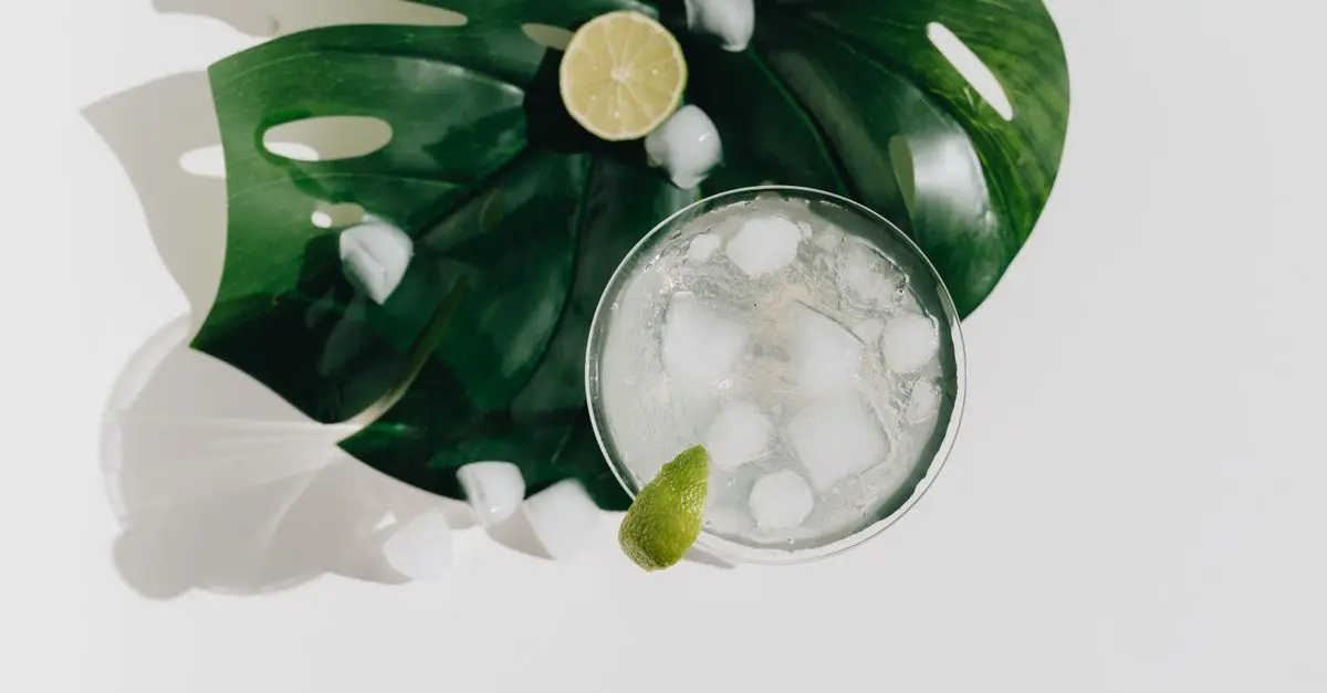 Les 10 Ingrédients Indispensables pour des Cocktails Réussis
