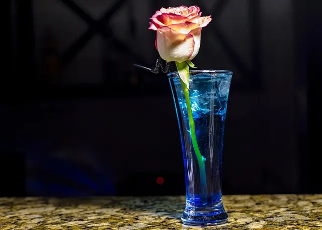Les Techniques Indispensables pour Réaliser un Cocktail Parfait