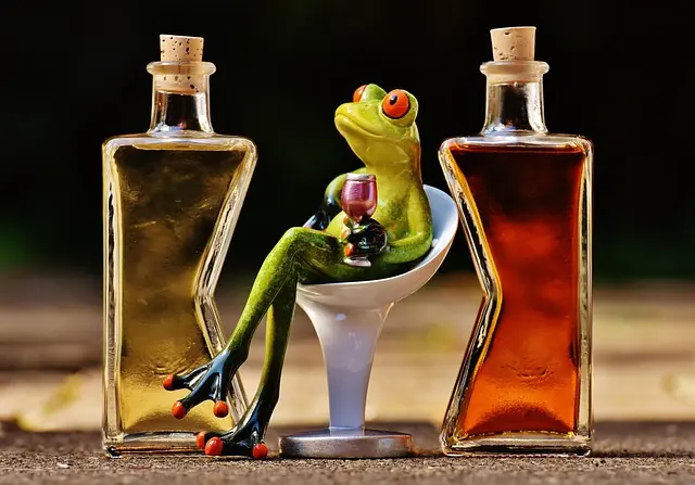 Les meilleurs cocktails à déguster pour chaque saison